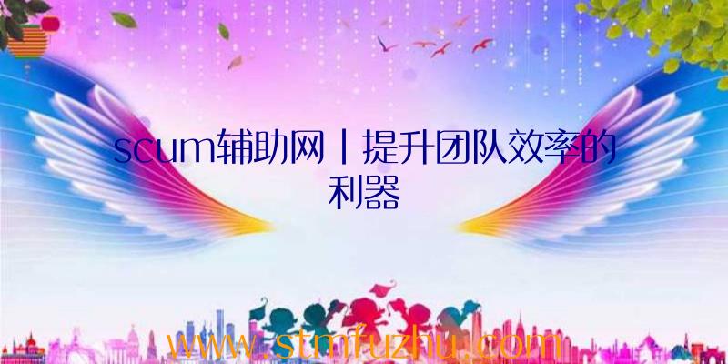 scum辅助网|提升团队效率的利器
